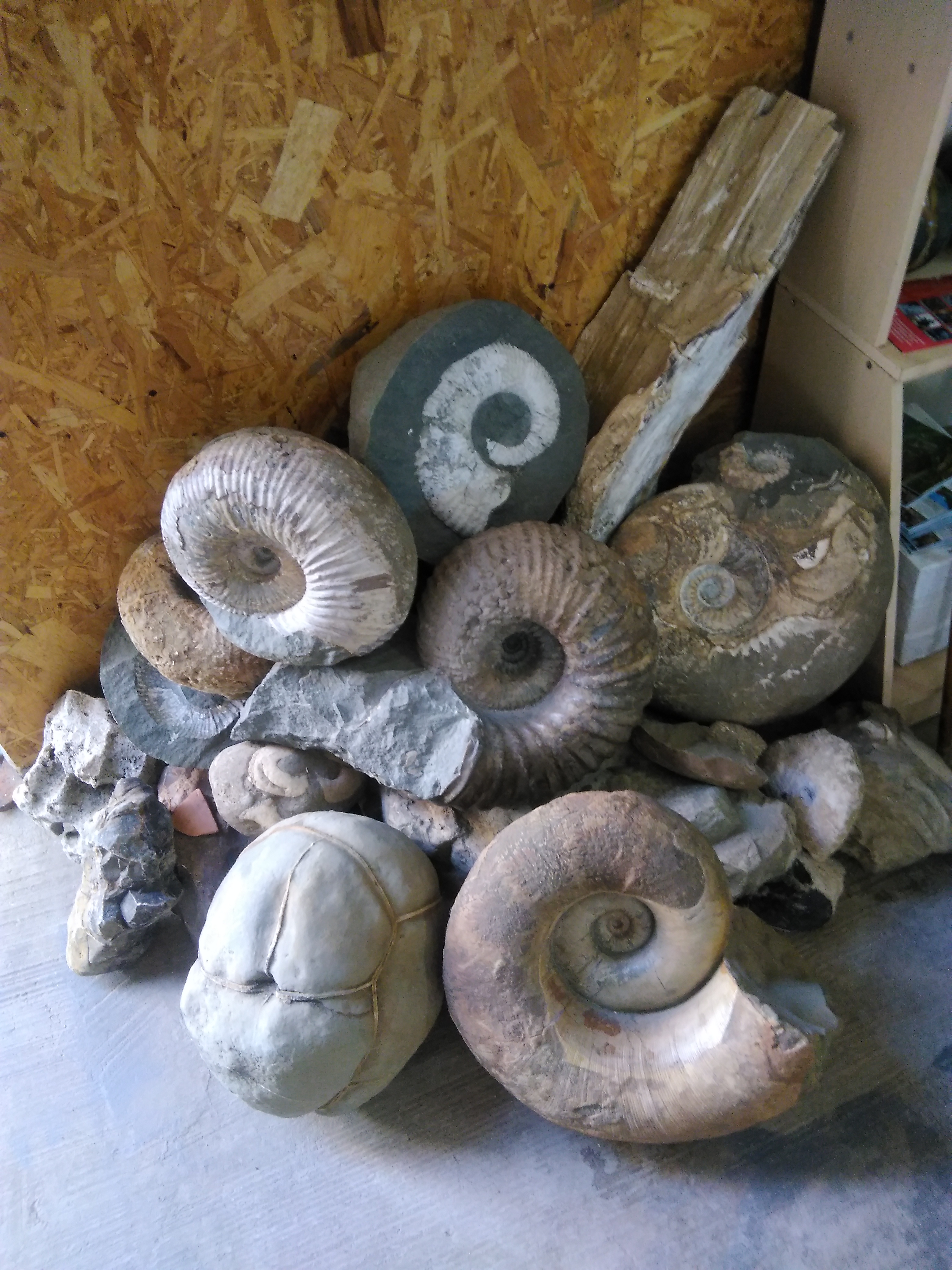 Muzej kristala i amonita 2