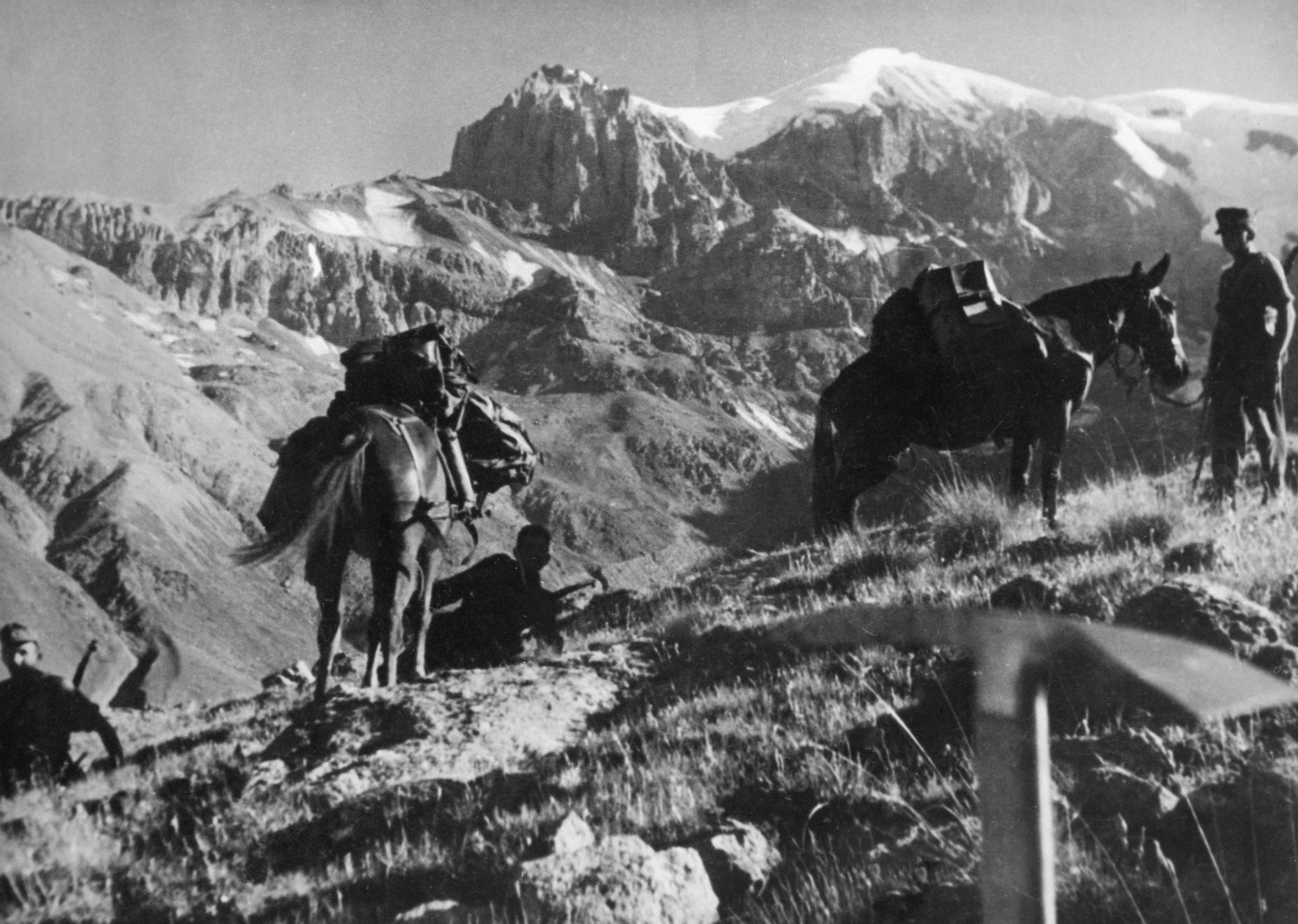 Transport opreme divizije Edelweiss konjima